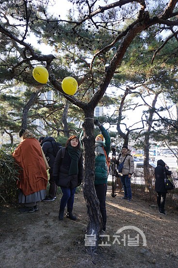 정원 스님이 소신공양한 곳 소나무에 세월호 풍선을 다는 시민들.